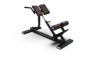Intenza Free Weight Line Back Extension Træningsbænk