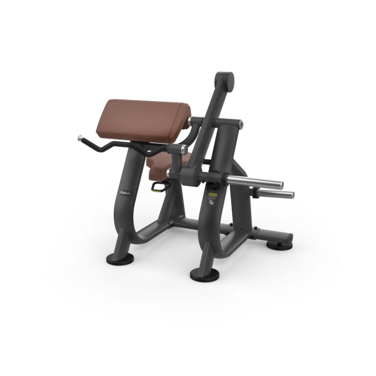 Intenza Zone Line Biceps Curl