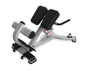 Nautilus Inspiration Justerbar Back Extension Træningsbænk