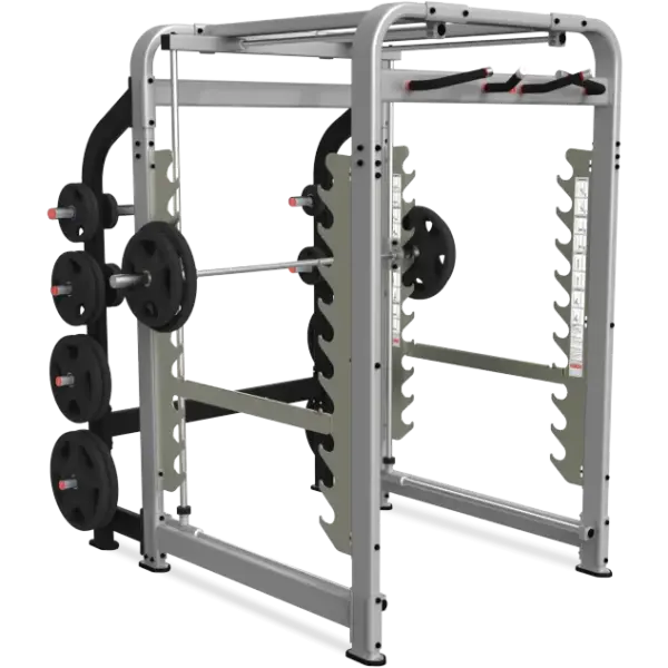 Nautilus Plate Loaded Freedom Rack
