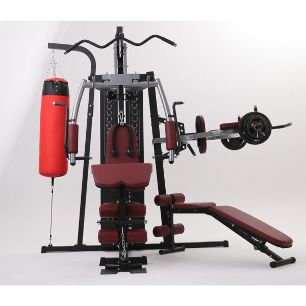 Odin Ragnarok Multi Station Home Gym Multistation 100kg