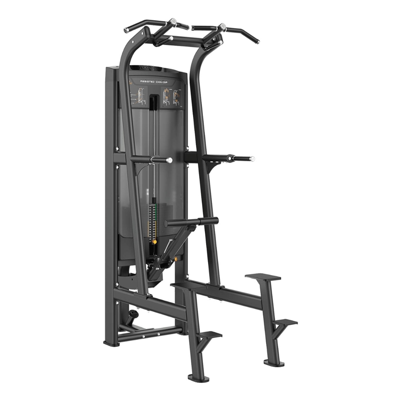 Toorx PLX-8400 Assisted Pull Up / Chin Up / Dip Maskine