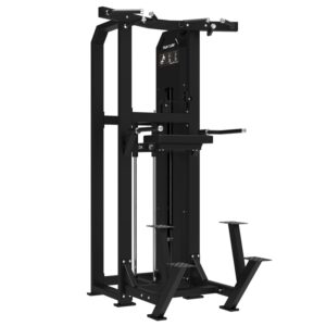 Tunturi Platinum Dual Assisted Chin Up/Dip (Selectorized)