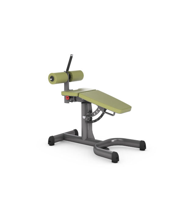 gym80 Adjustable Roman Chair Mavebænk